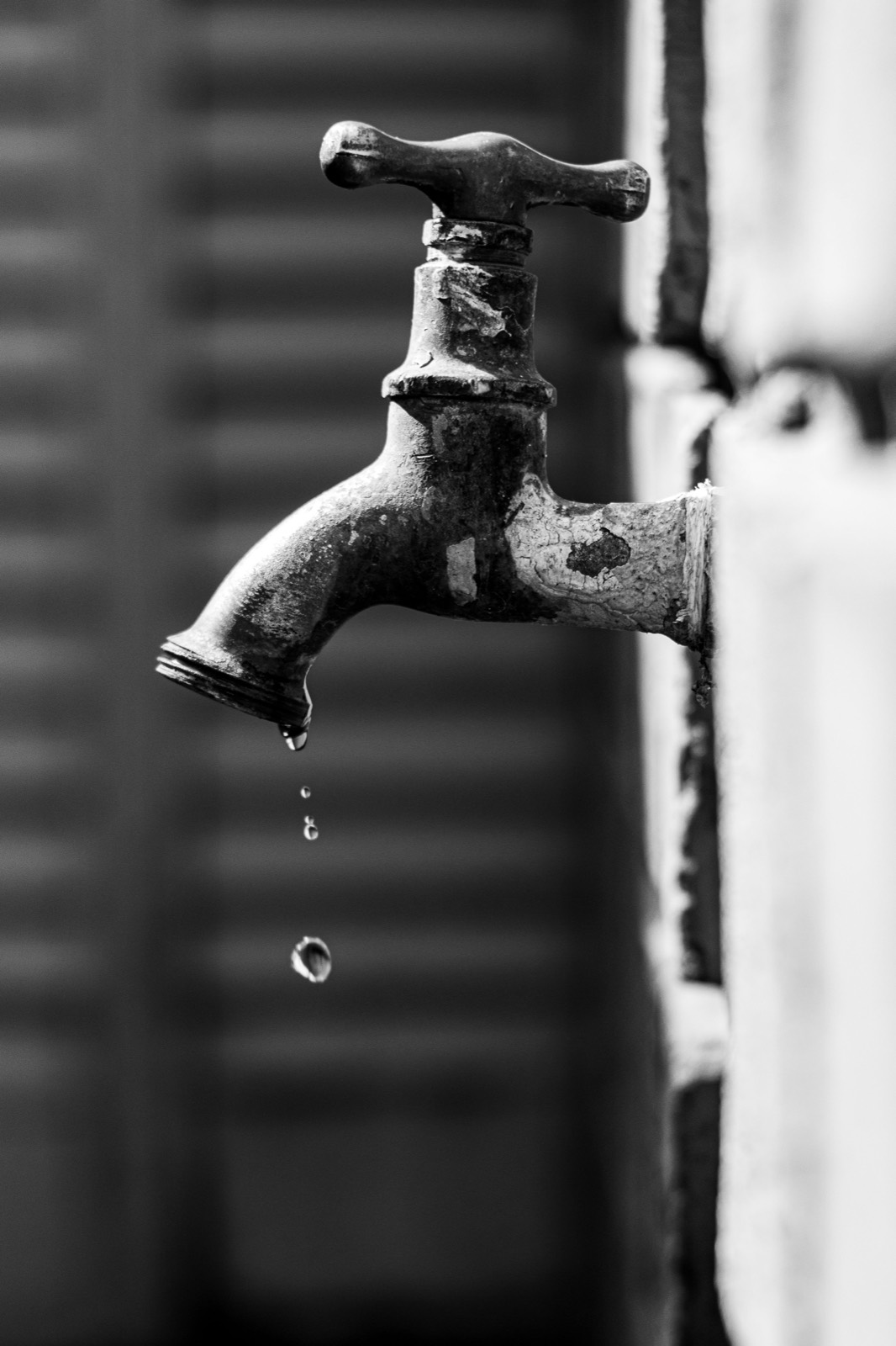 Wasserschadenbeseitigung